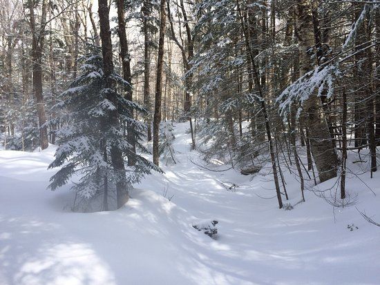 Timber Creek Cross Country Ski Area